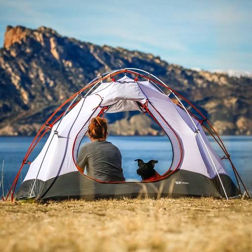 Discover the Essence of National Camping Day