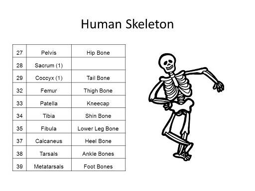 Skeleton Names Funny 1